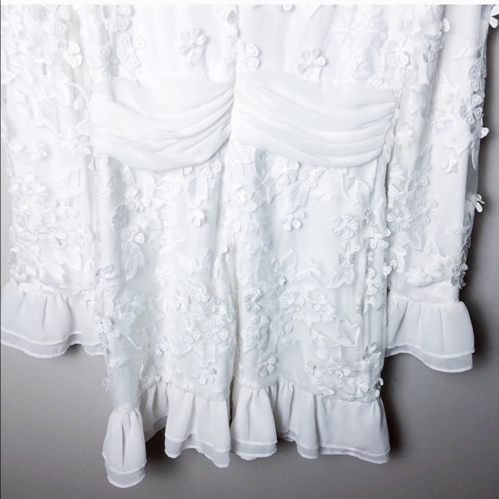 NWT BLUSH Lace Applique Mesh Ruffle Mini Dress - Picture 5 of 5
